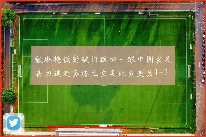 张琳艳低射破门扳回一球中国女足奋力追赶苏格兰女足比分变为1-3